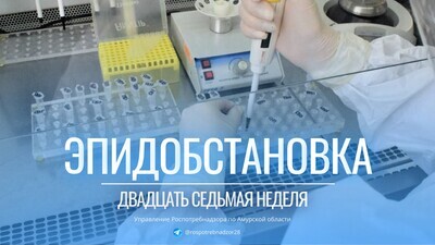 Об эпидемиологической обстановке в Амурской области за период с 01.07.2024 по 07.07.2024 г.