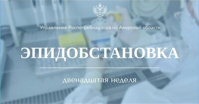 Об эпидемиологической обстановке в Амурской области за период с 18.03.2024 по 24.03.2024 г.
