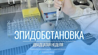 Эпидемиологическая обстановка в Амурской области на 20 неделе