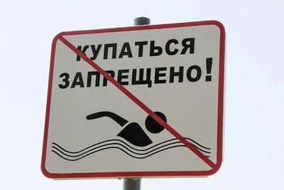 Опасность городских водоёмов! – III (или врага надо знать в лицо!)