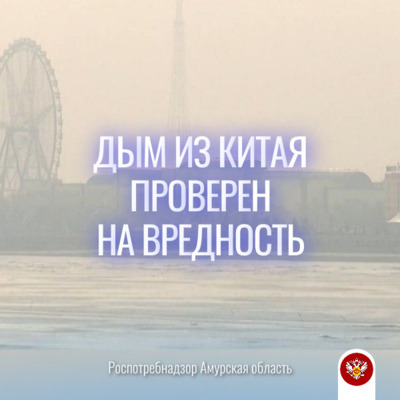 О задымлении в г. Благовещенск, Амурской области на 29.10.2024 г. 
