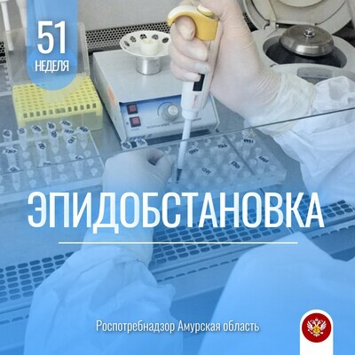 Об эпидемиологической обстановке в Амурской области за период с 16.12.2024 по 22.12.2024 г. 