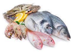О контроле за качеством и безопасностью реализуемой рыбной продукции