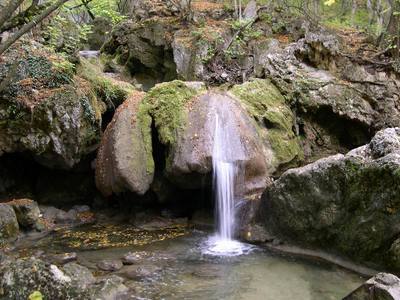 О качестве воды в родниках