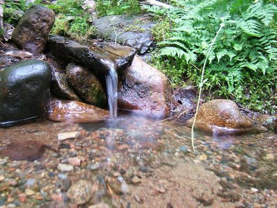О качестве воды в родниках