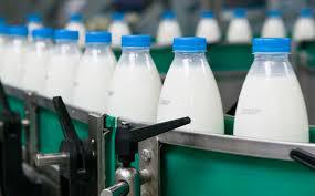 О маркировке молокосодержащих продуктов с заменителем молочного жира
