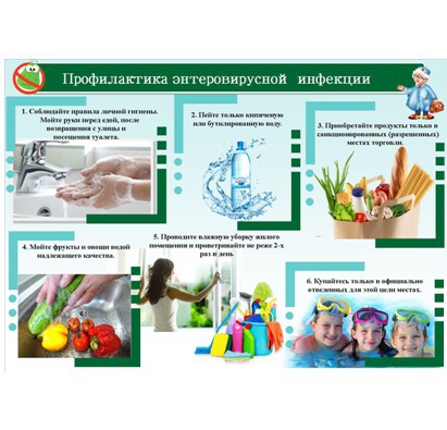 Профилактика энтеровирусной инфекции