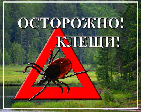 Памятка работодателям  (юридическим лицам и индивидуальным предпринимателям) о мерах профилактики клещевых инфекций