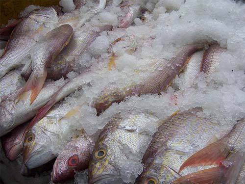 О контроле за пищевой продукцией из водных биоресурсов