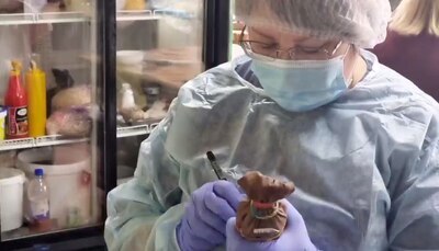 Деятельность кафе, ставшего причиной заболевания людей сальмонеллёзом, приостановлена