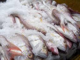 О надзоре в 2016 году за реализацией пищевой продукции из водных биоресурсов