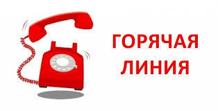 Об итогах  работы  «горячей линии» за  январь 2020 года