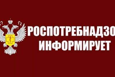 Профилактика бешенства