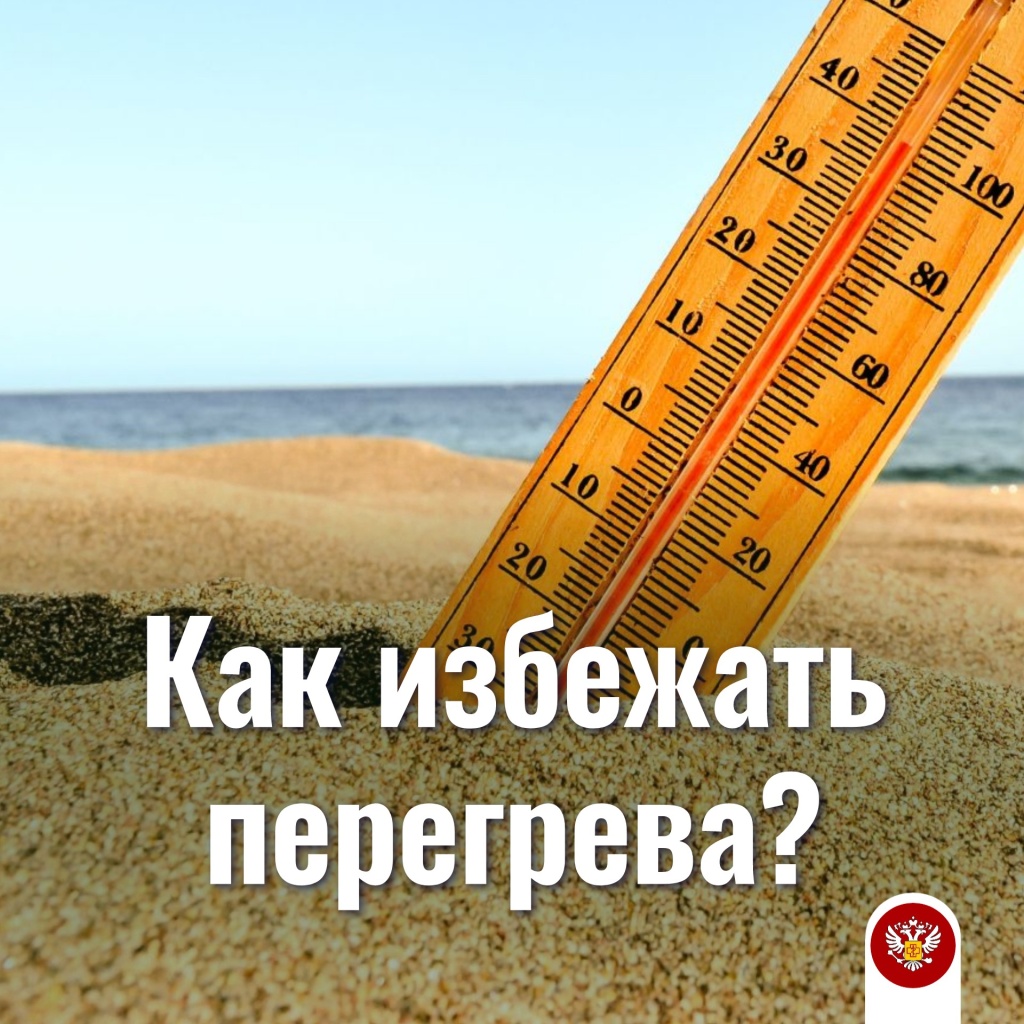 Копия грибы.jpg