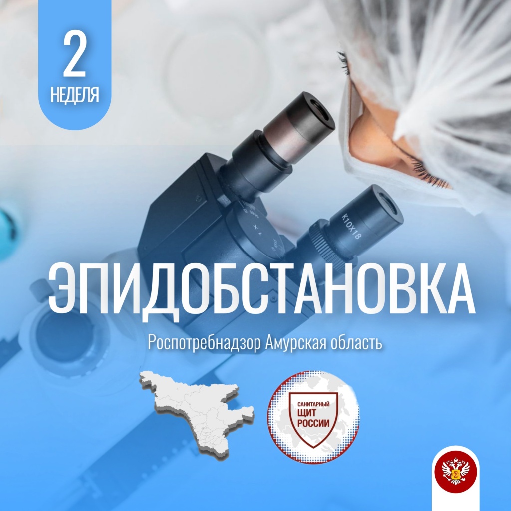 2 эпид.jpg