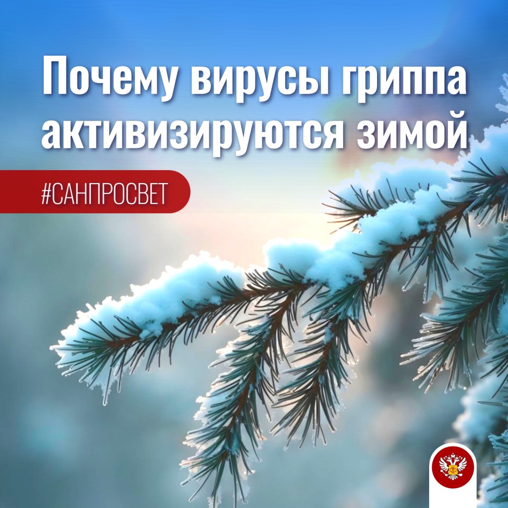 вирусы зима (2).jpg