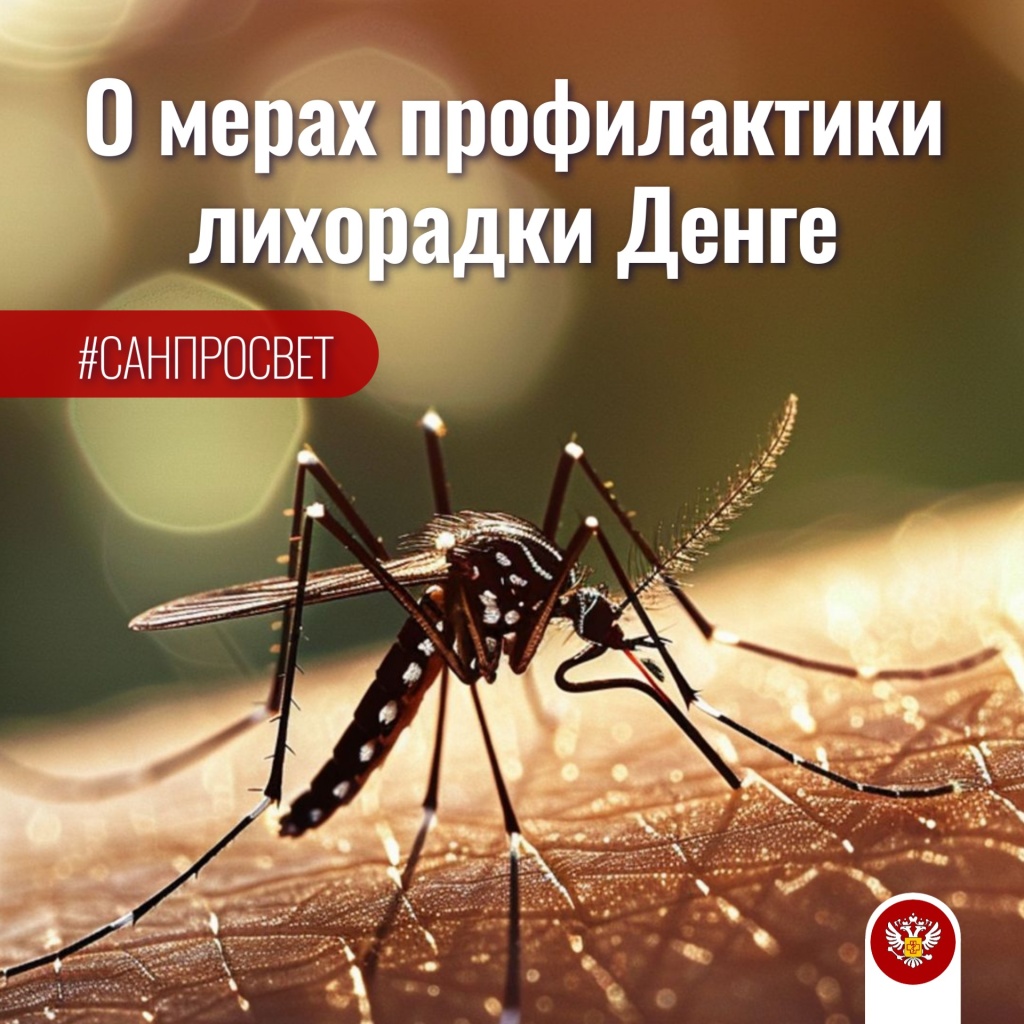 денге 30 01.jpg