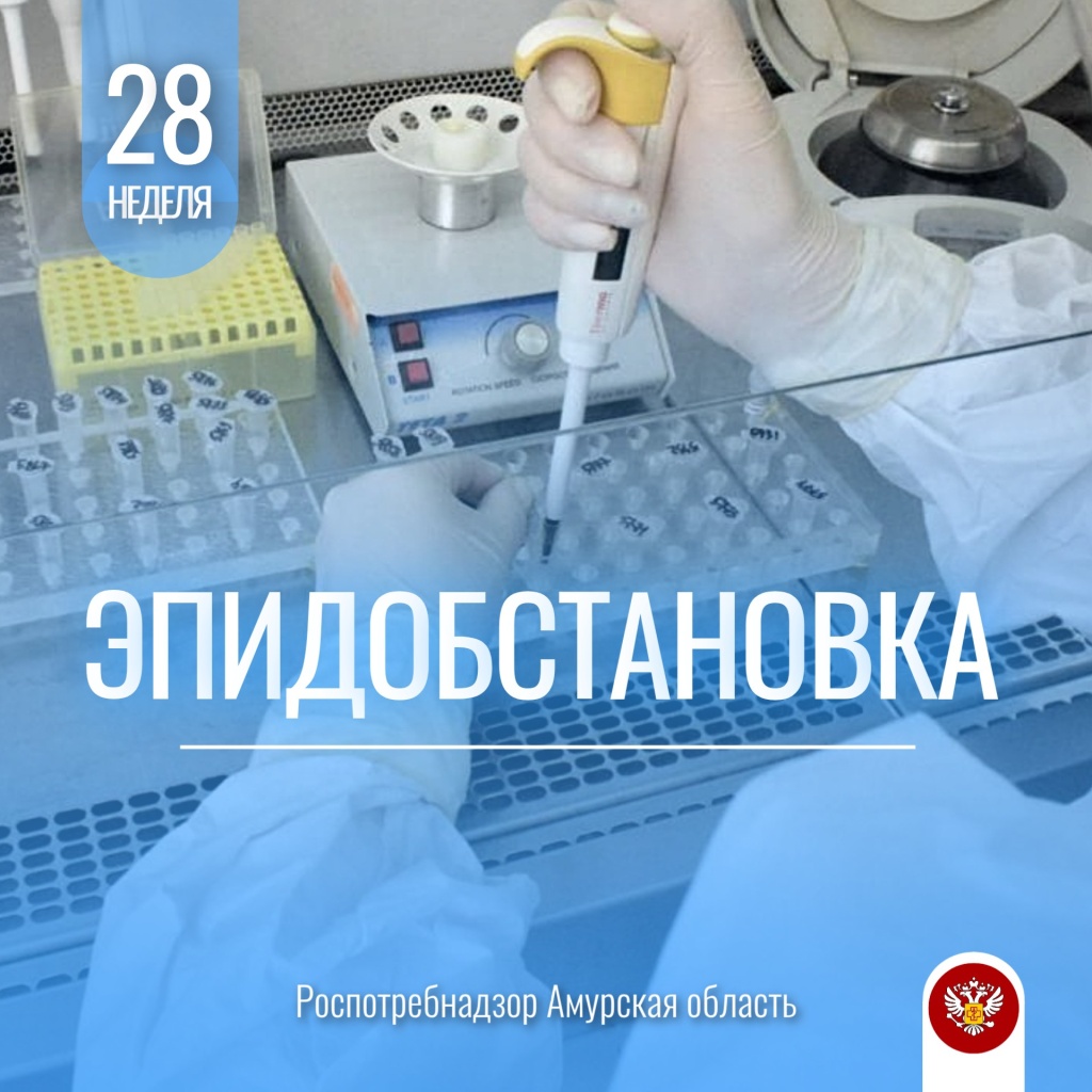 28 эпид.jpg